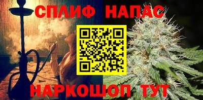 прущие грибы Донской