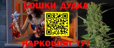 гашик Дубна