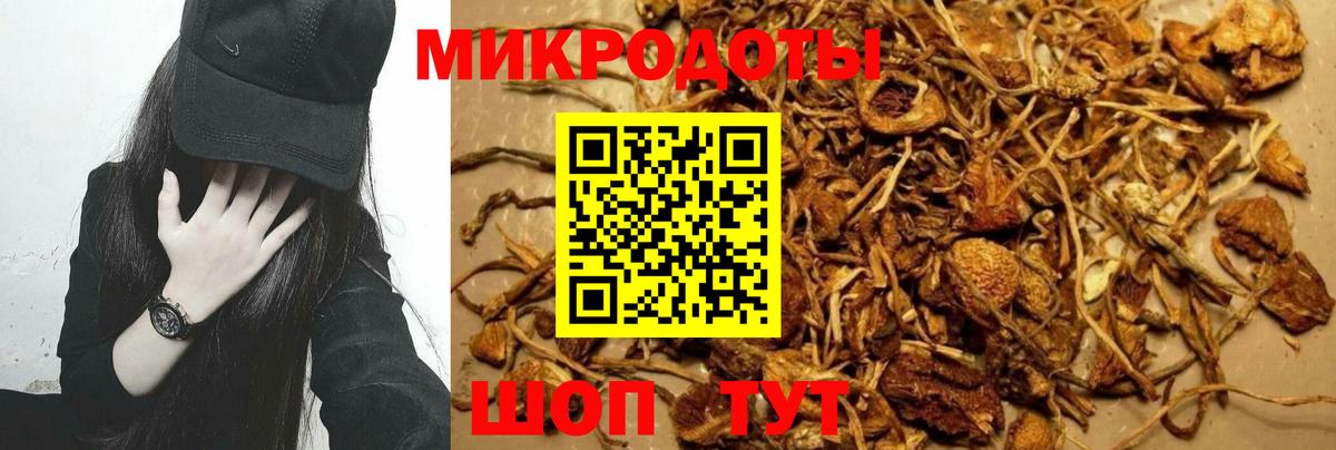 Псилоцибиновые грибы Magic Shrooms Мурино