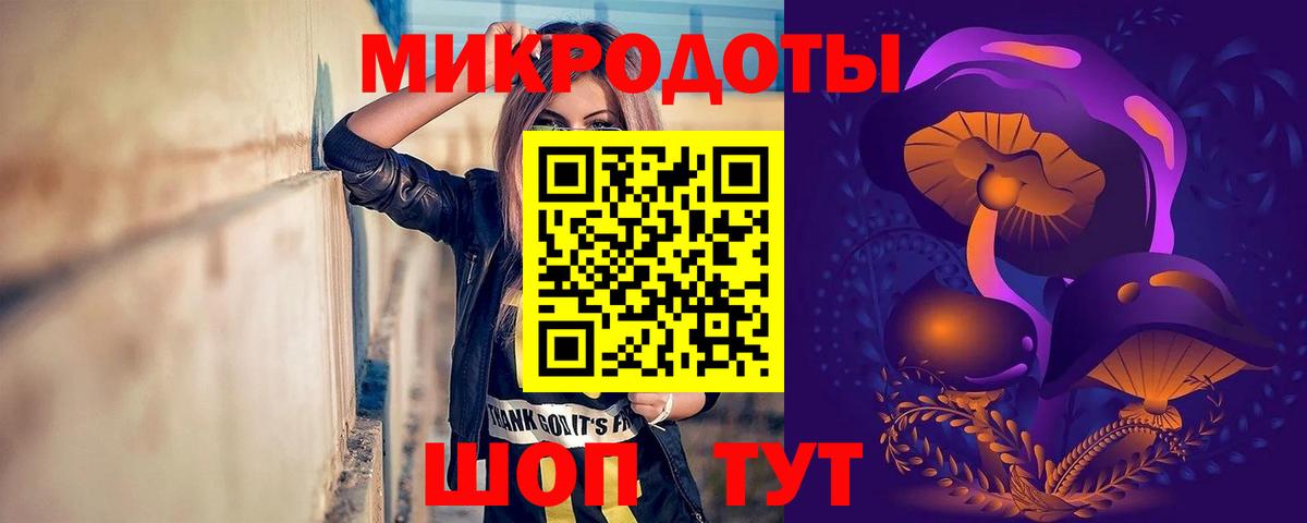 Псилоцибиновые грибы GOLDEN TEACHER  где продают наркотики  Мурино  Вход с VPN 