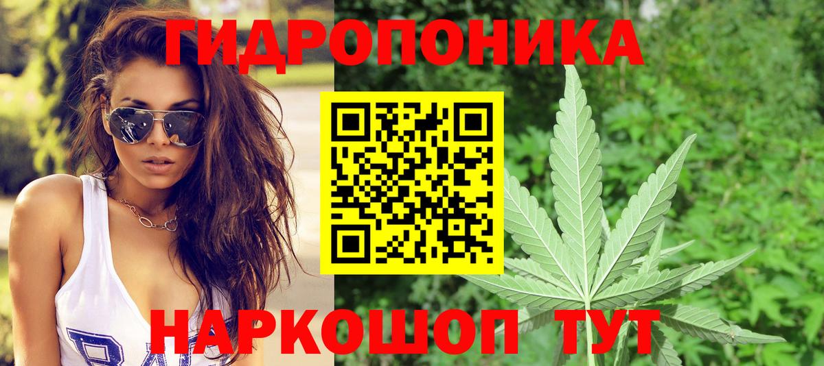 Каннабис Amnesia  Вход с VPN  Бошки марихуана Bruce Banner  Бошки марихуана сатива  Мурино  Каннабис сатива 